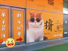 -飞行喵MR PILOT|猫舍·猫咖(静安大融城店)