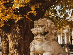 -北京石刻艺术博物馆(五塔寺)