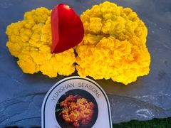 -芸山季·云南野生菌火锅(宝能环球汇店)