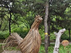 -北京西山国家森林公园