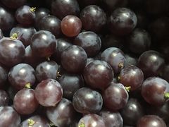 -百果园(奕淳公寓店)