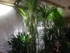 -春暖花开(西溪店)