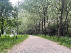 -龙门涧景区