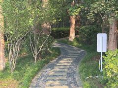 -金鸡湖桃花岛