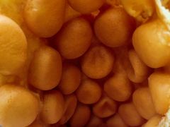 -利强记北角鸡蛋仔(弥敦道店 )