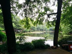 -灵谷景区