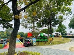 -太阳岛度假酒店