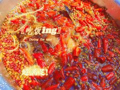 水煮鲶鱼-望京一号(请您到博雅店用餐·博雅店)