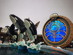 -上海海昌海洋公园