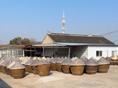 -苏州市吴中区光福窑上花果蜜饯厂