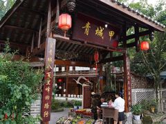 -青城甲(青城山店)