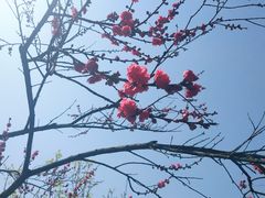 -贵阳市花溪国家城市湿地公园