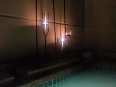 -春晖园度假酒店温泉