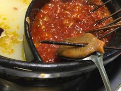 平菇-钢管厂歆瑞源油卤串串香(春熙路太古里店)