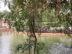 -侯臣咖啡文化村