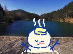 -四明山国家森林公园