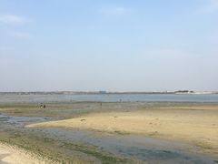 -北海金海湾红树林生态旅游区