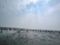 -天津东疆湾沙滩景区