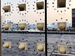 -上海当代艺术博物馆