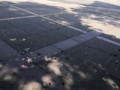 -郑和公园