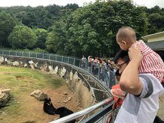 -无锡动物园·太湖欢乐园