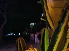 -城墙外BAR