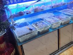 -悦巷海鲜自助铁板烧(秦皇东大街店)