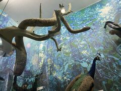 -国家自然博物馆