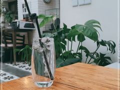 -两棵枇杷树