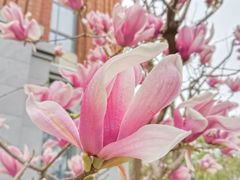 -华东政法大学(松江校区)