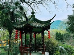 -杭州西湖风景名胜区-三生石