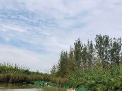 -泗洪洪泽湖湿地景区