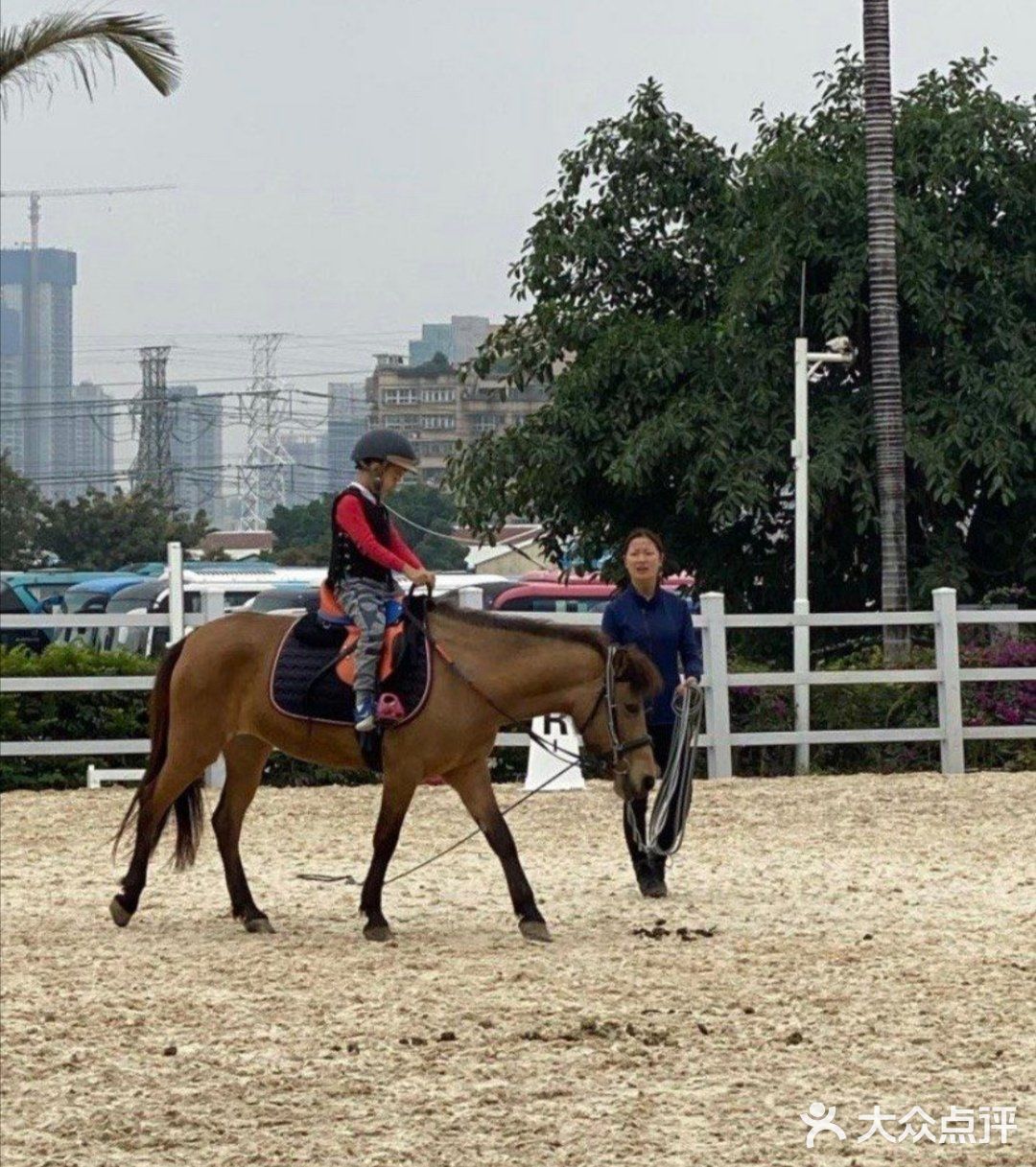 可是今天告诉大家，娃娃也可以培养马术的呢！