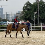 可是今天告诉大家，娃娃也可以培养马术的呢！