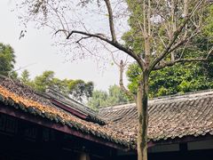 -成都杜甫草堂博物馆