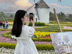-金卉庄园