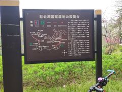 -重庆彩云湖湿地公园