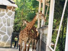 -泉州海丝野生动物世界