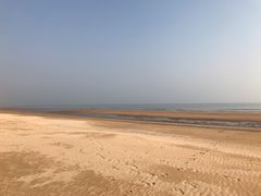 -日照海滨国家森林公园