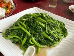-麻奢鸽农庄·梦里水乡