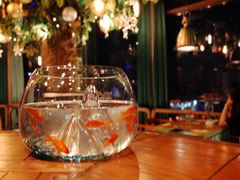 -烛影拾光观景餐厅·创意菜·摄影·小提琴(大唐不夜城店)