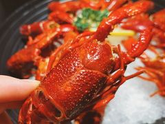 -洪福龙虾