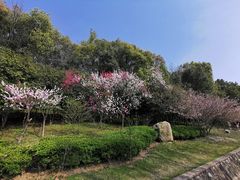 -宜兴龙背山森林公园