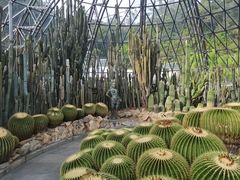 -深圳仙湖植物园
