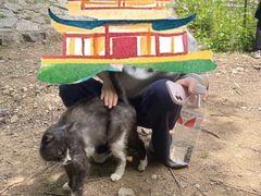 -四门塔风景区