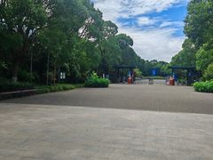 -上海海湾国家森林公园