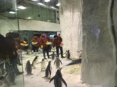 -大连圣亚海洋世界