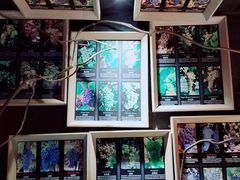 -葡萄集|滋味新疆菜·精酿酒馆(瑞豪酒店)
