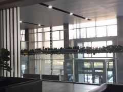 -奔驰上海利星(七宝店)