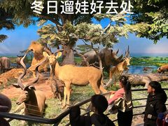 -国家自然博物馆